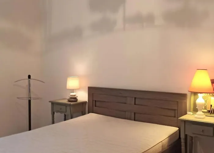 Дом отдыха Maison 3 Proche Ocearium Avec Animaux Acceptes - Fr-1-843-19